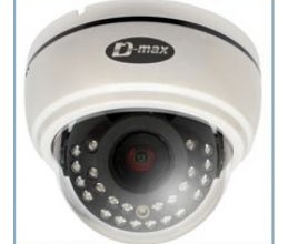 Camera bán cầu IP DMC-30DVZW